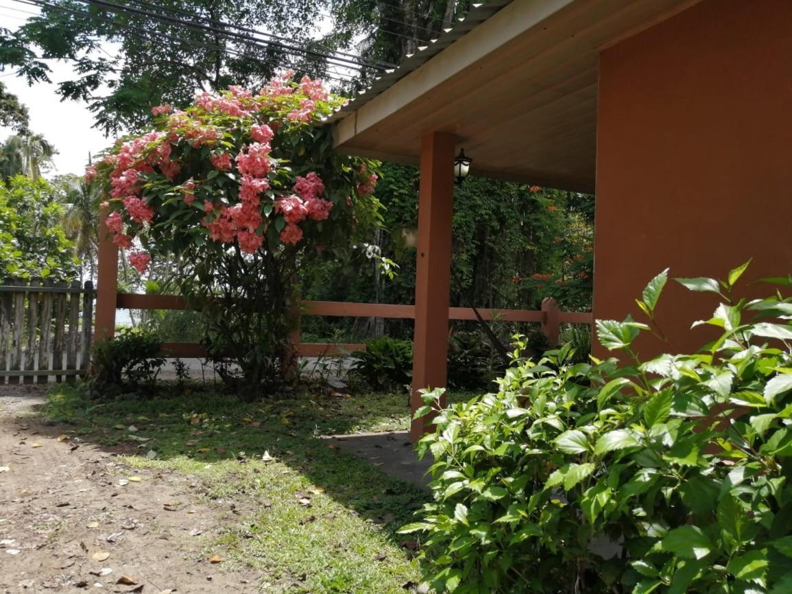 Cahuita Lodge Exteriör bild
